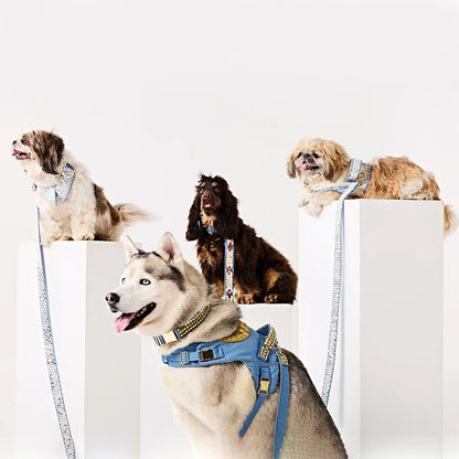 Ashna Vaswani Royal Bow Dog Collar