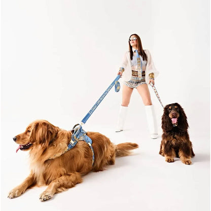 Ashna Vaswani Royal Bow Dog Collar