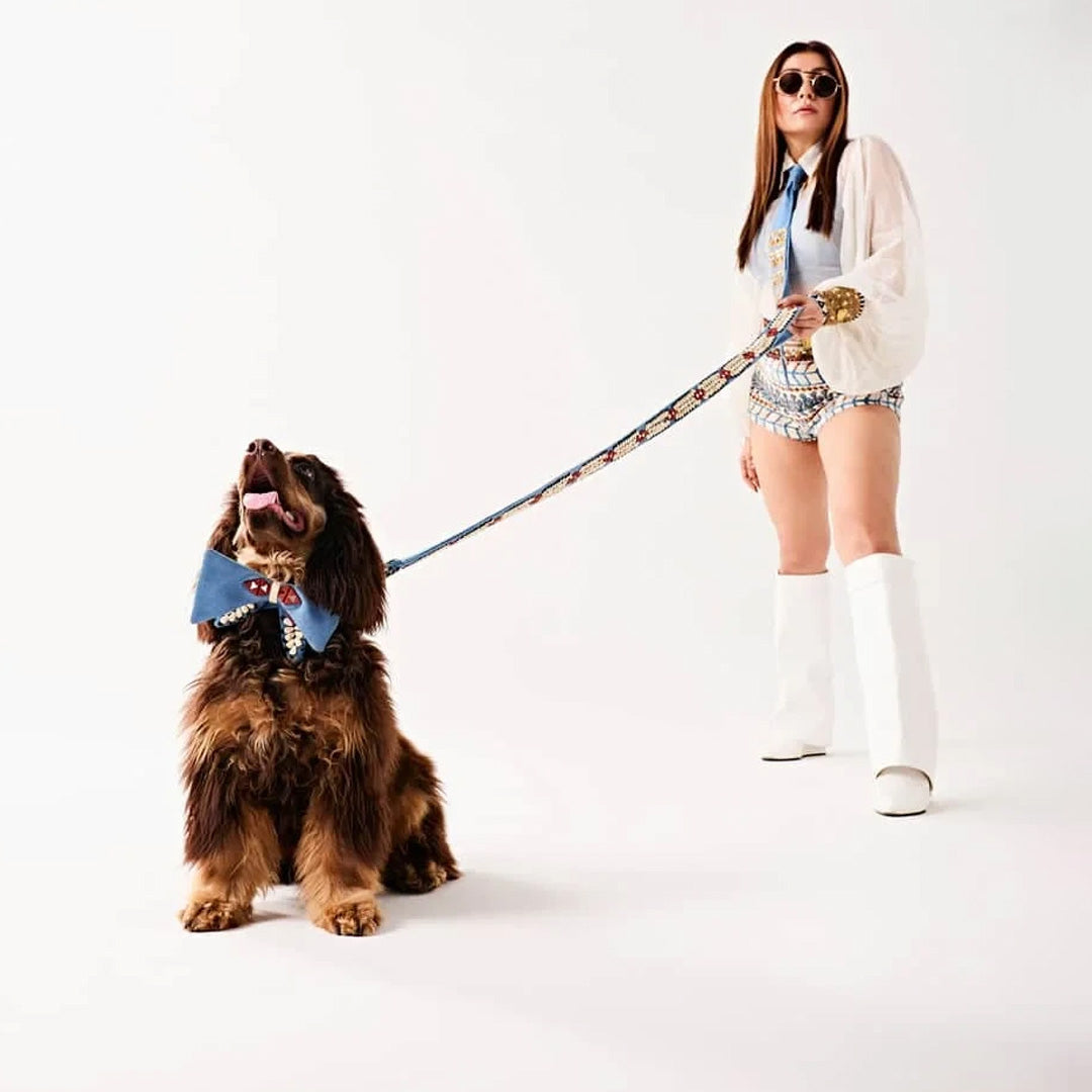 Ashna Vaswani Royal Bow Dog Collar