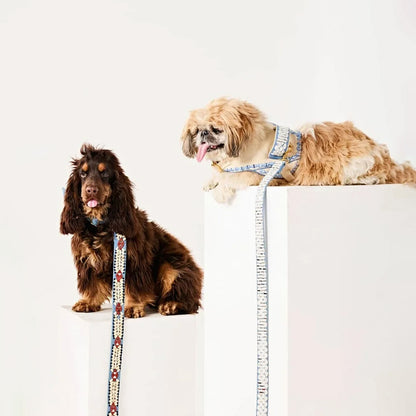 Ashna Vaswani Royal Bow Dog Collar