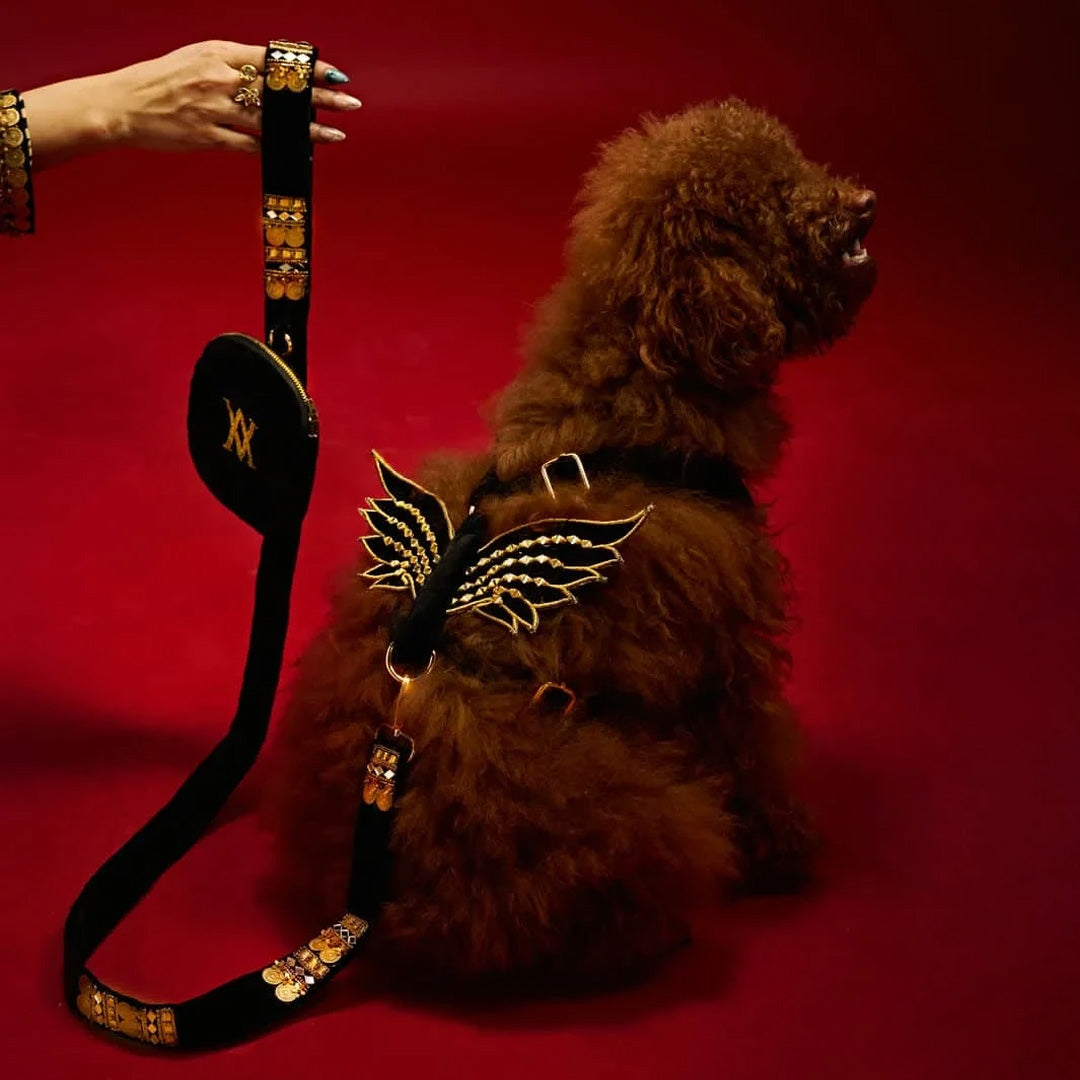 Ashna Vaswani Royal Winged Luxe Dog Collar, Harness And Leash