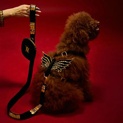 Ashna Vaswani Royal Winged Luxe Dog Collar, Harness And Leash