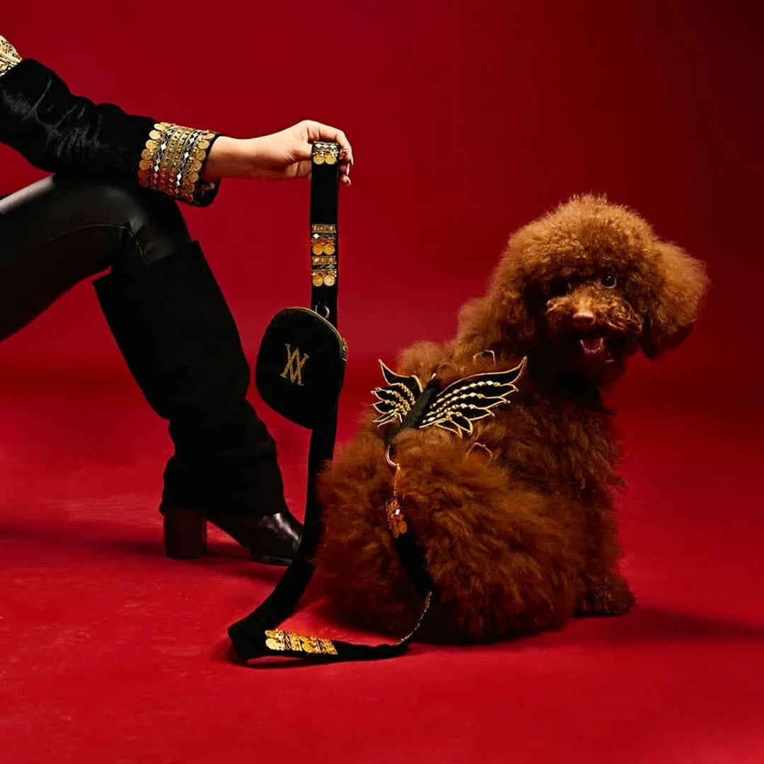 Ashna Vaswani Royal Winged Luxe Dog Collar, Harness And Leash