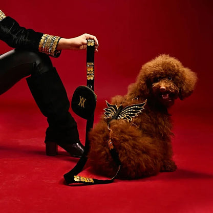 Ashna Vaswani Royal Winged Luxe Dog Collar, Harness And Leash