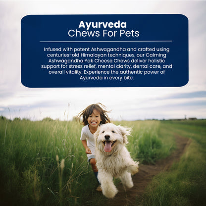 AyurPet Calming Ashwagandha Yak Cheese Chews | 6-Hour Long Lasting Dental Chew | Natural, 100% Veg, Protein-Rich