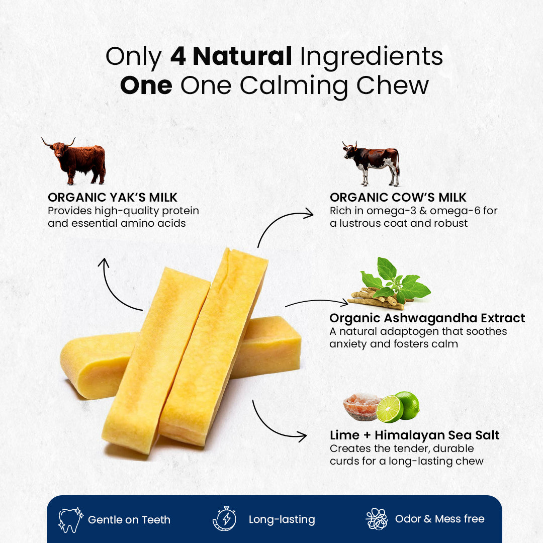 AyurPet Calming Ashwagandha Yak Cheese Chews | 6-Hour Long Lasting Dental Chew | Natural, 100% Veg, Protein-Rich