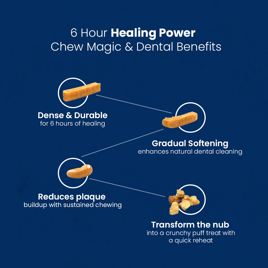AyurPet Calming Ashwagandha Yak Cheese Chews | 6-Hour Long Lasting Dental Chew | Natural, 100% Veg, Protein-Rich