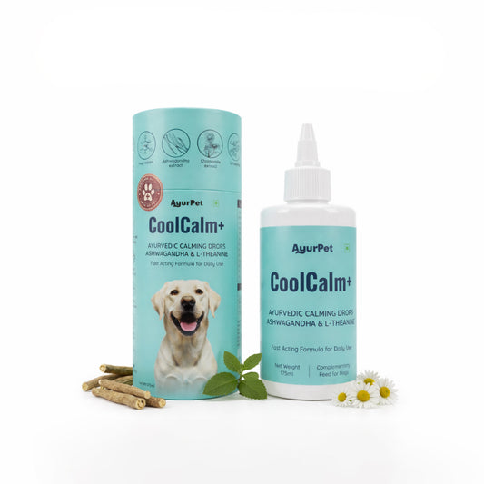 AyurPet CoolCalm+ | Calming & Behavioral Support for Dogs
