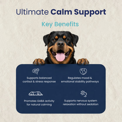 AyurPet CoolCalm+ | Calming & Behavioral Support for Dogs