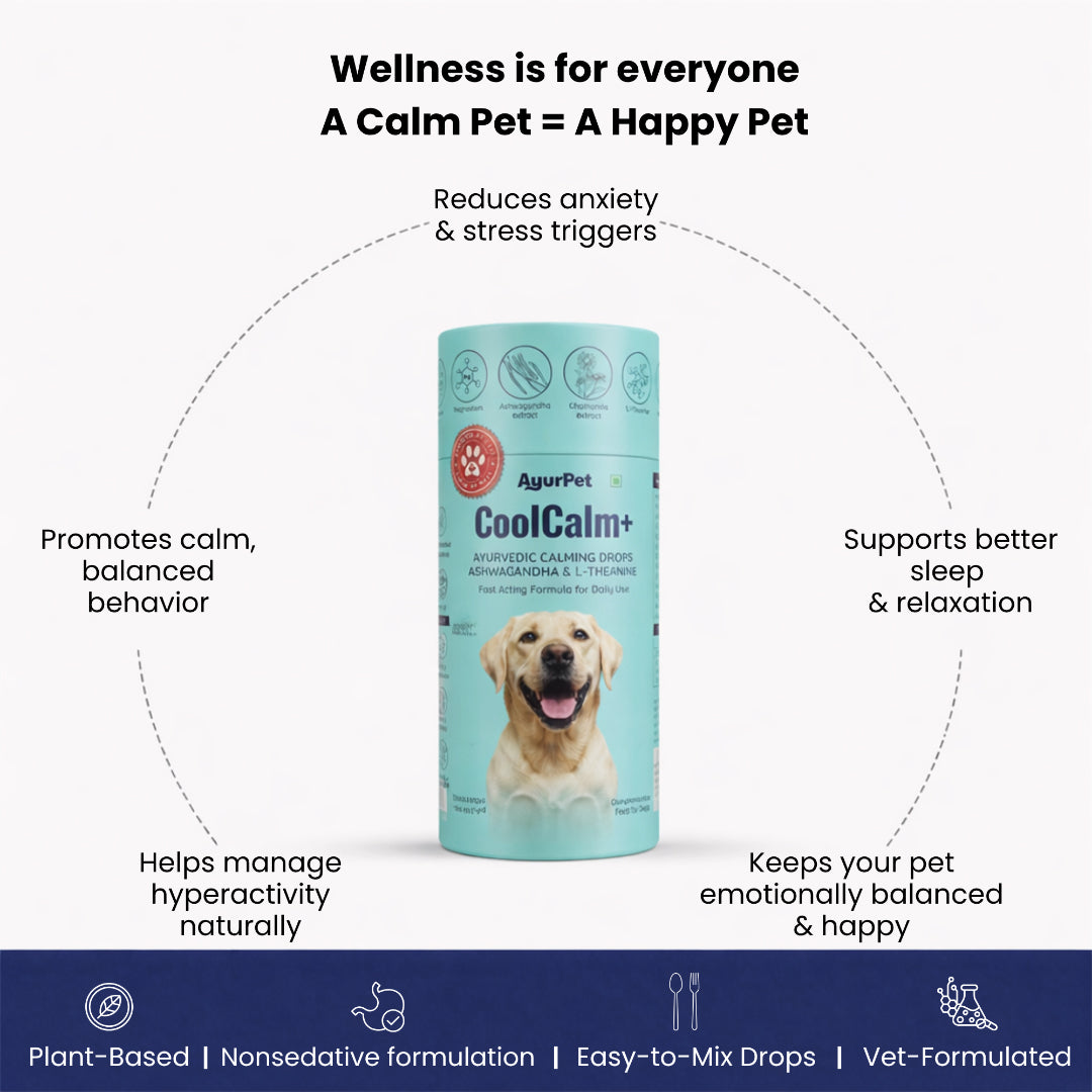 AyurPet CoolCalm+ | Calming & Behavioral Support for Dogs