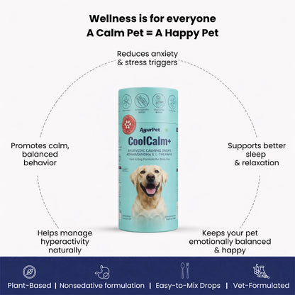 AyurPet CoolCalm+ | Calming & Behavioral Support for Dogs