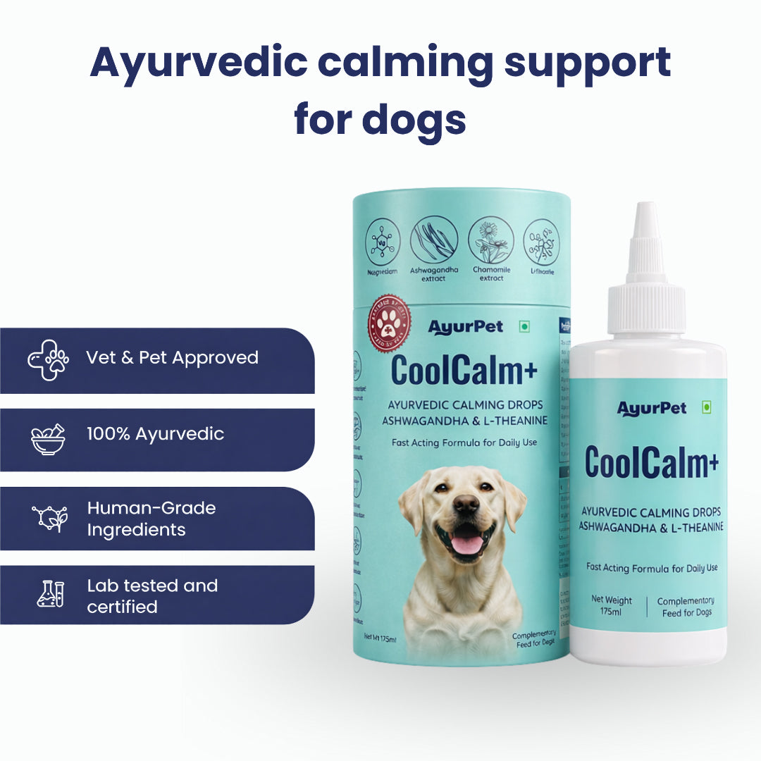 AyurPet CoolCalm+ | Calming & Behavioral Support for Dogs