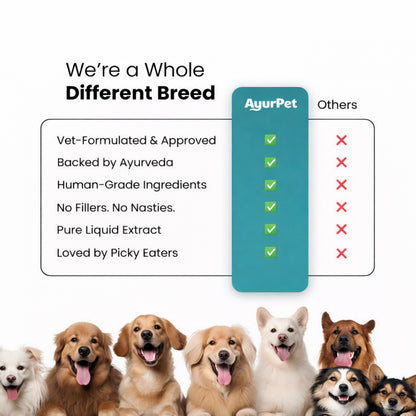AyurPet CoolCalm+ | Calming & Behavioral Support for Dogs