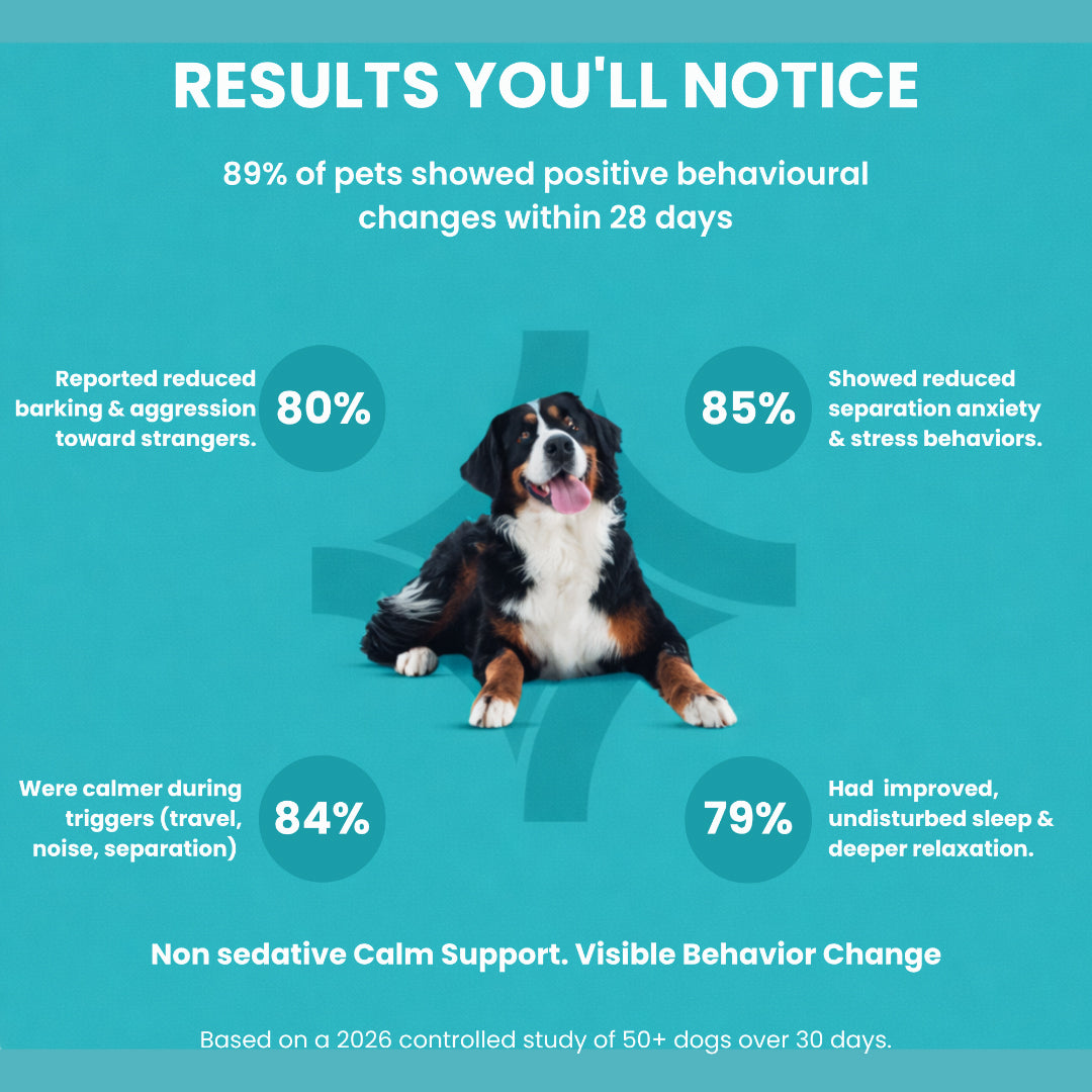 AyurPet CoolCalm+ | Calming & Behavioral Support for Dogs