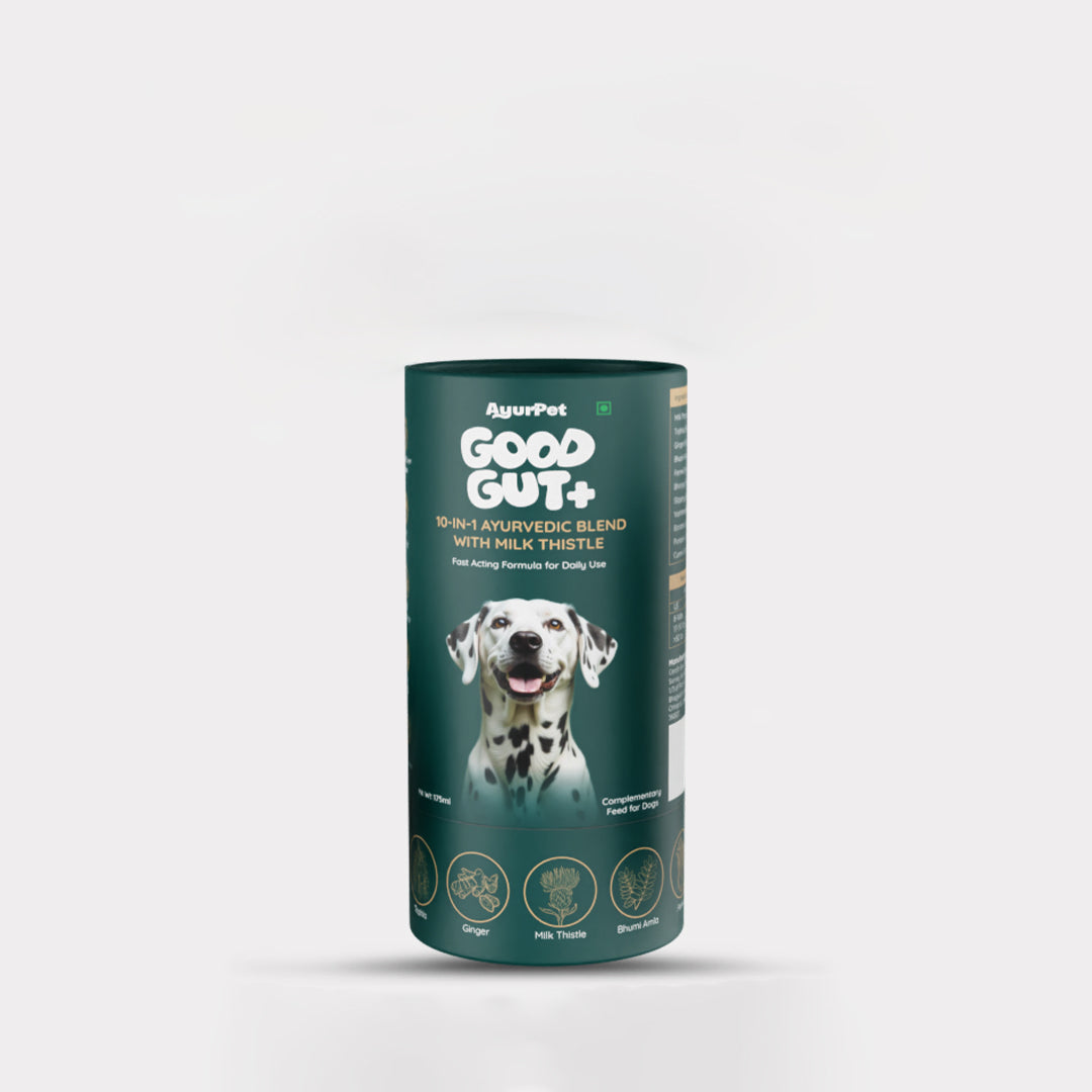 AyurPet GoodGut+ | Digestive Enzyme Drops for Dogs