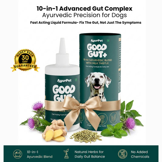 AyurPet GoodGut+ | Digestive Enzyme Drops for Dogs