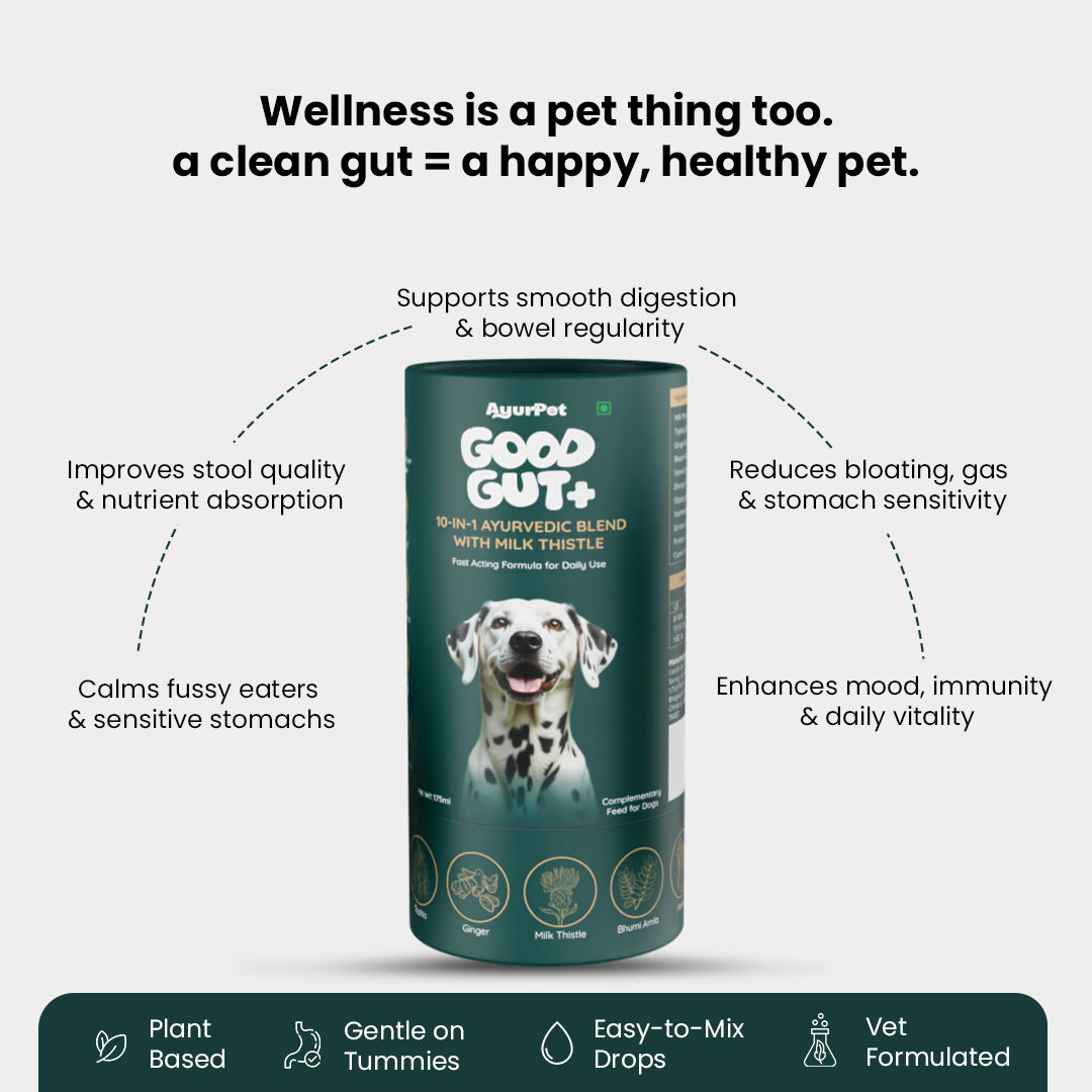 AyurPet GoodGut+ | Digestive Enzyme Drops for Dogs