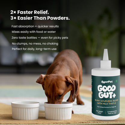AyurPet GoodGut+ | Digestive Enzyme Drops for Dogs