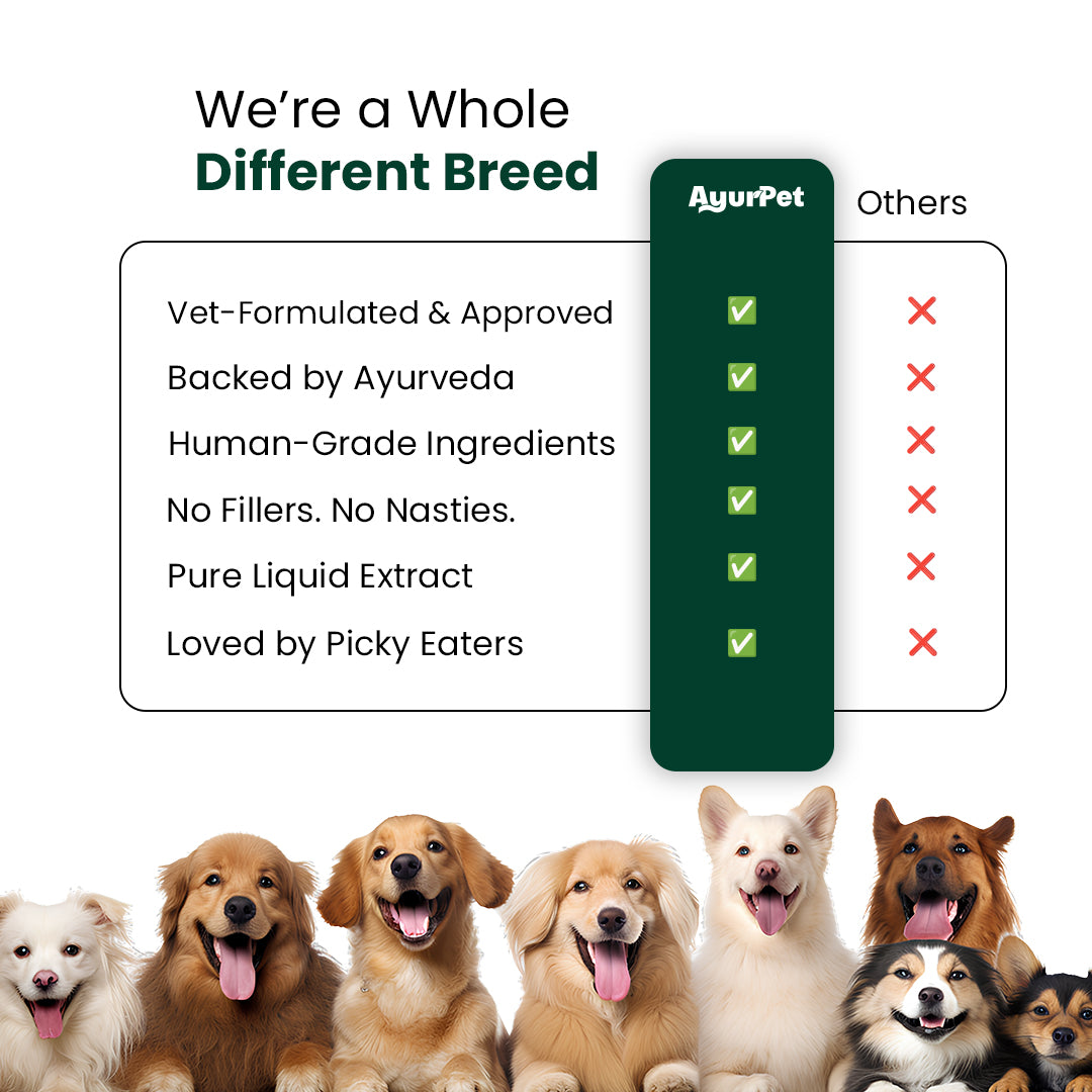 AyurPet GoodGut+ | Digestive Enzyme Drops for Dogs