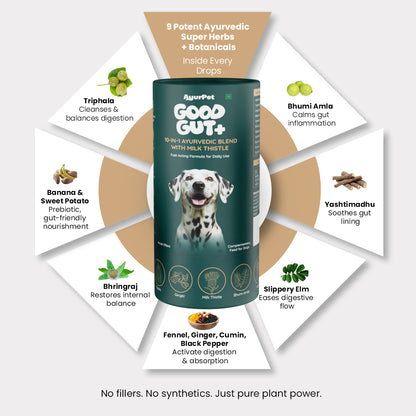 AyurPet GoodGut+ | Digestive Enzyme Drops for Dogs