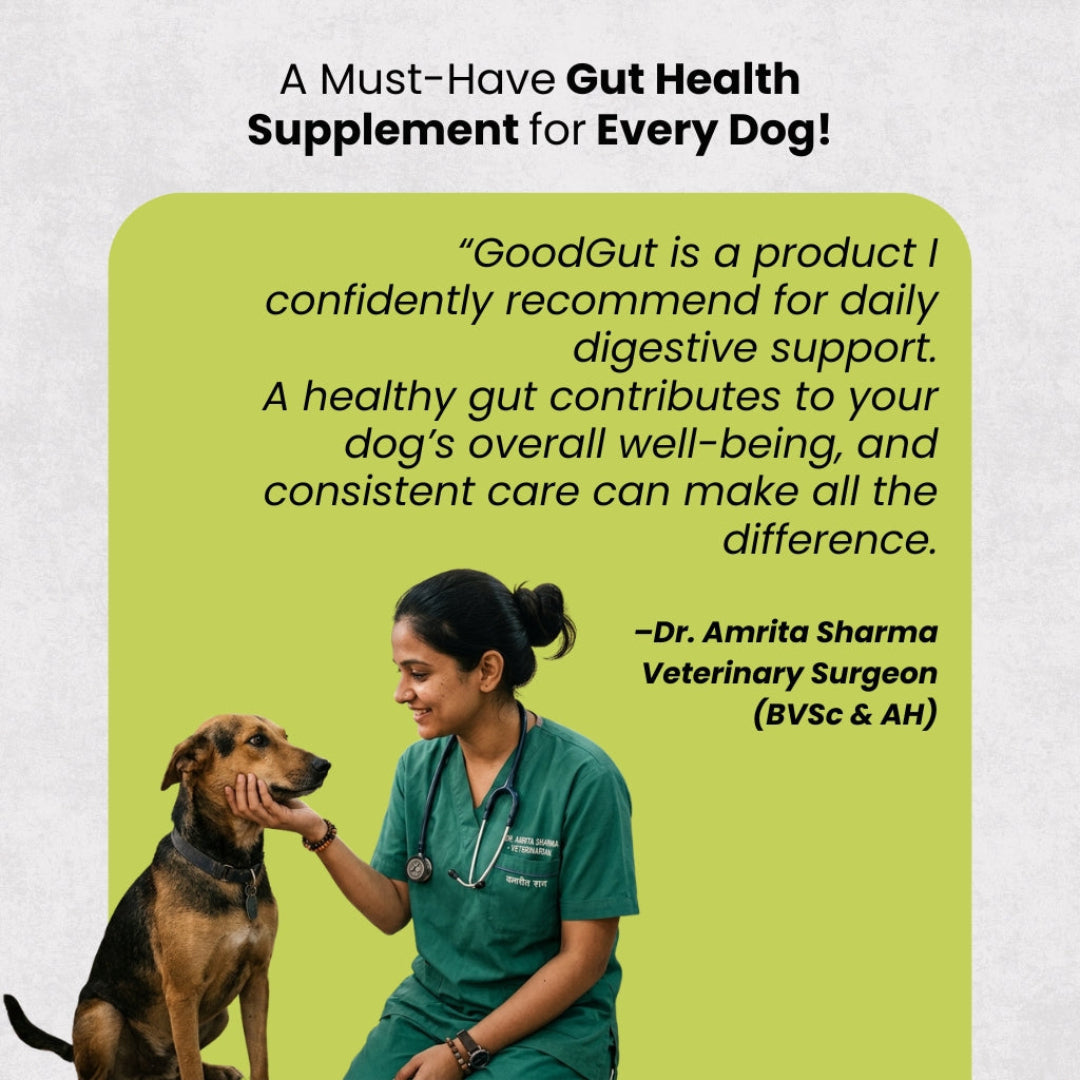 AyurPet GoodGut+ | Digestive Enzyme Drops for Dogs