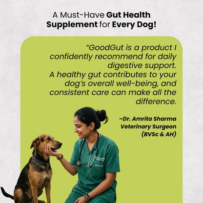 AyurPet GoodGut+ | Digestive Enzyme Drops for Dogs