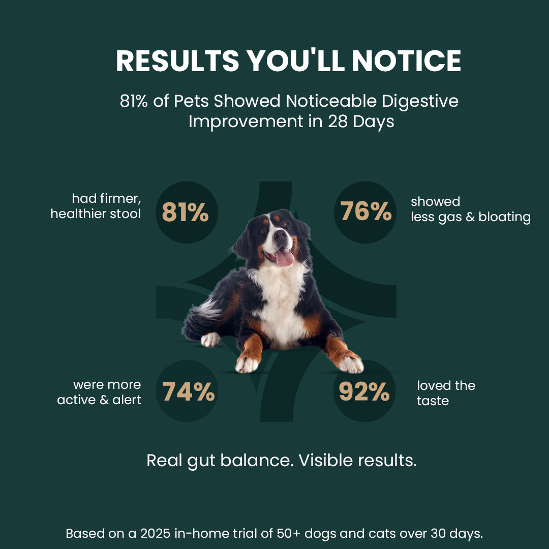AyurPet GoodGut+ | Digestive Enzyme Drops for Dogs