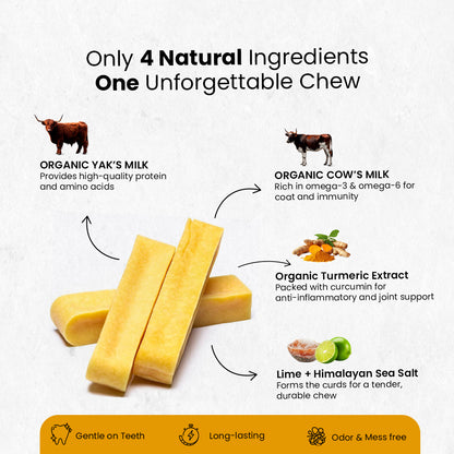 AyurPet Healing Turmeric Yak Cheese Chews | 6-Hour Long Lasting Dental Chew | Natural, 100% Veg, Protein-Rich