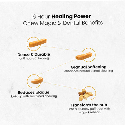AyurPet Healing Turmeric Yak Cheese Chews | 6-Hour Long Lasting Dental Chew | Natural, 100% Veg, Protein-Rich
