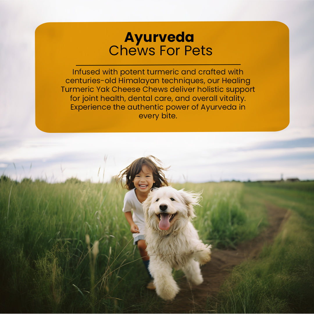 AyurPet Healing Turmeric Yak Cheese Chews | 6-Hour Long Lasting Dental Chew | Natural, 100% Veg, Protein-Rich