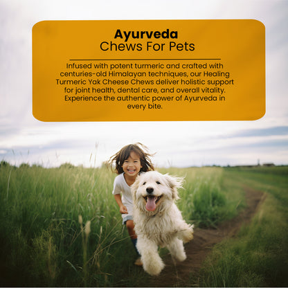 AyurPet Healing Turmeric Yak Cheese Chews | 6-Hour Long Lasting Dental Chew | Natural, 100% Veg, Protein-Rich