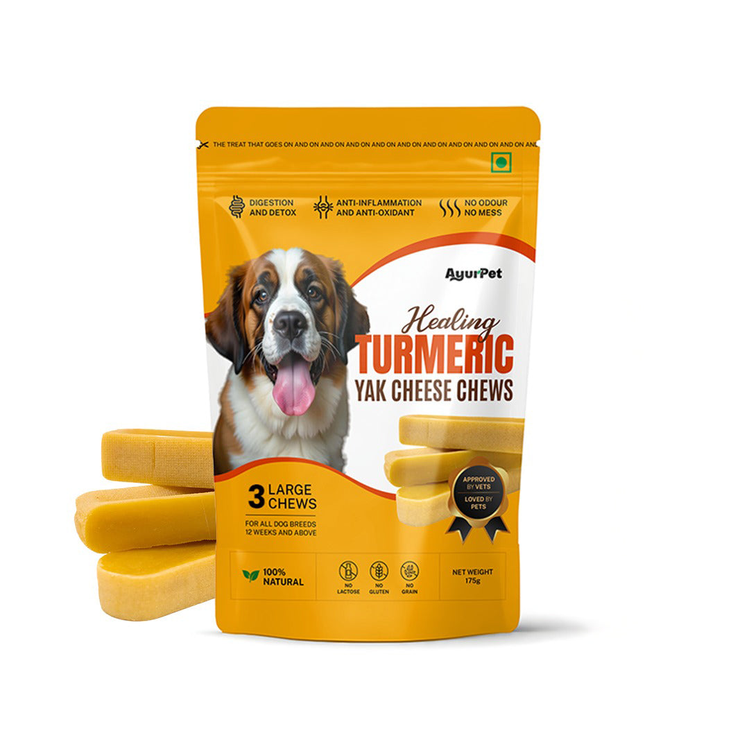 AyurPet Healing Turmeric Yak Cheese Chews | 6-Hour Long Lasting Dental Chew | Natural, 100% Veg, Protein-Rich