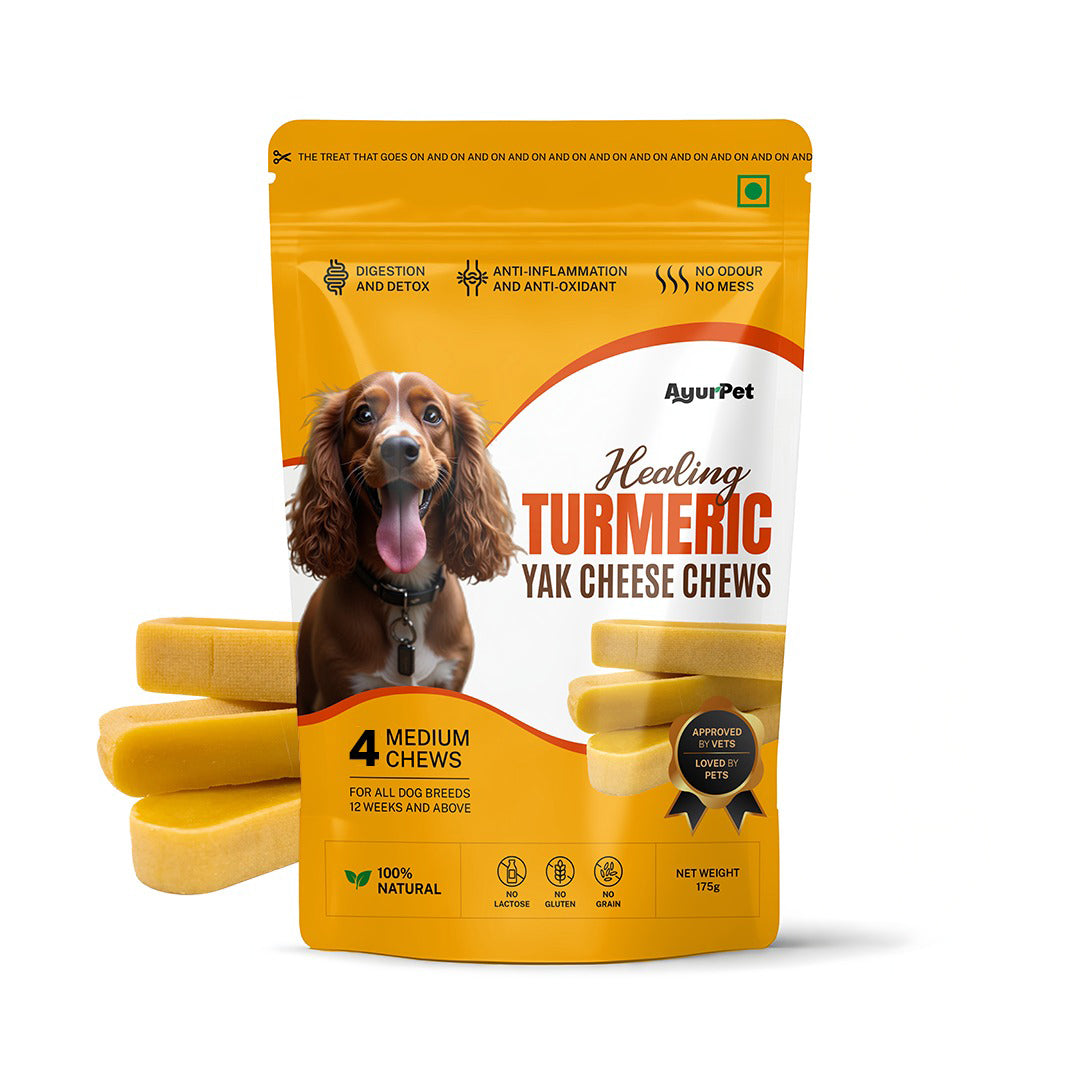 AyurPet Healing Turmeric Yak Cheese Chews | 6-Hour Long Lasting Dental Chew | Natural, 100% Veg, Protein-Rich