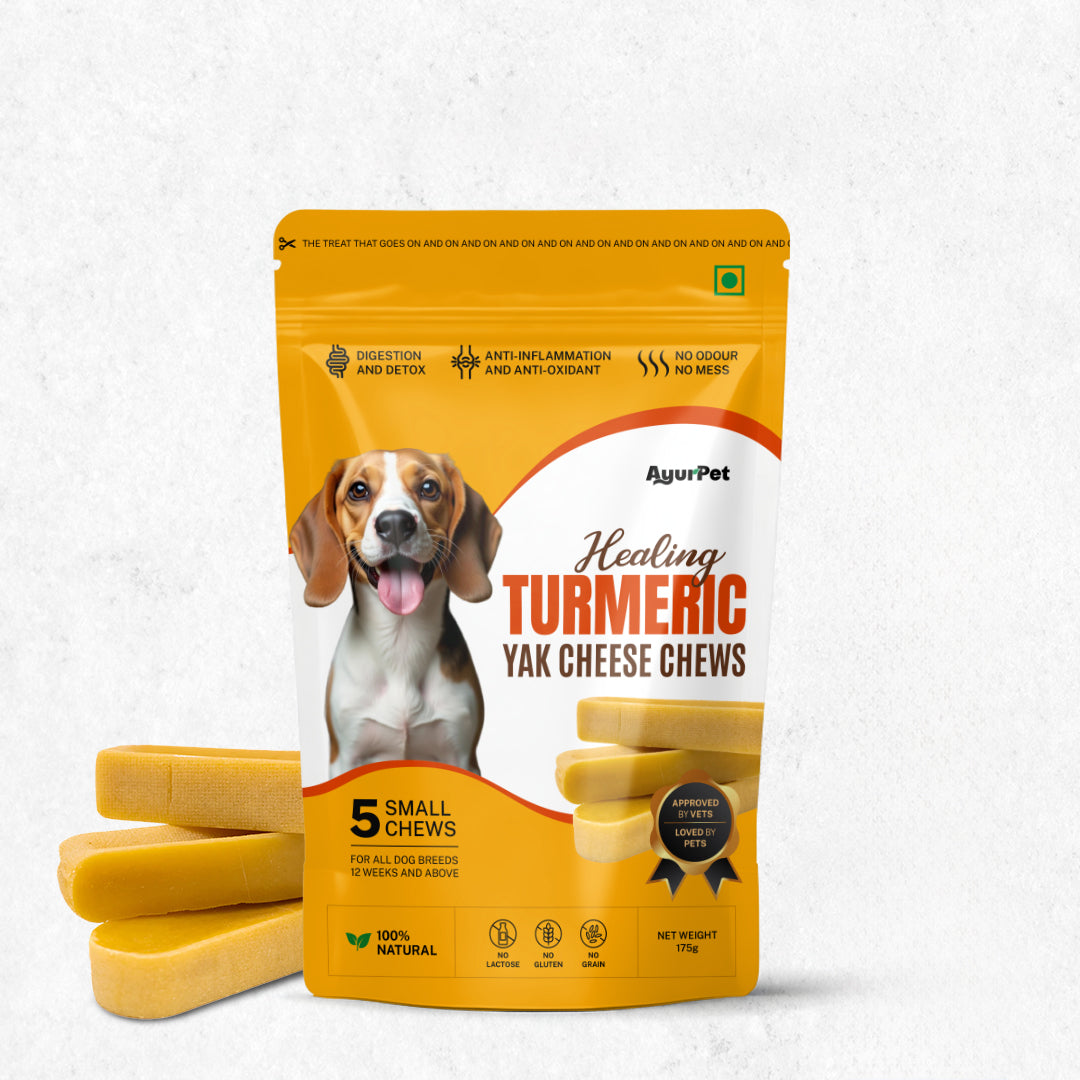 AyurPet Healing Turmeric Yak Cheese Chews | 6-Hour Long Lasting Dental Chew | Natural, 100% Veg, Protein-Rich