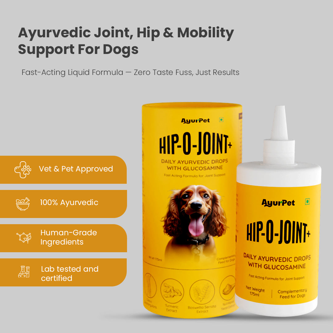 AyurPet Hip-O-Joint | Joint and Mobility Support