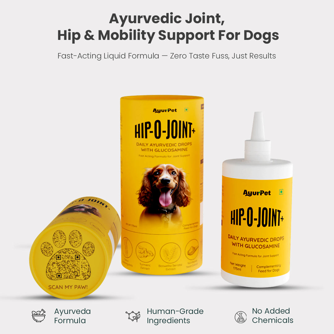 AyurPet Hip-O-Joint | Joint and Mobility Support