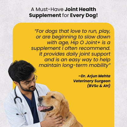 AyurPet Hip-O-Joint | Joint and Mobility Support