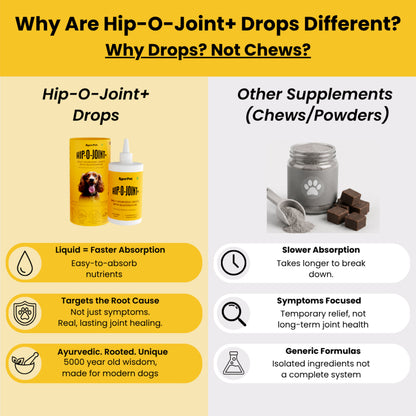 AyurPet Hip-O-Joint | Joint and Mobility Support