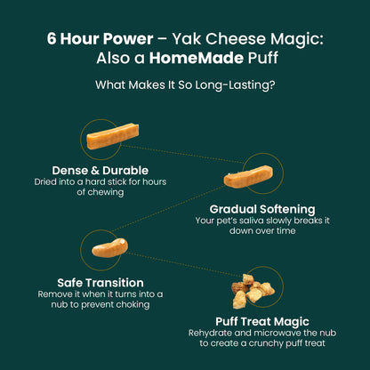 AyurPet Original Himalayan Yak Cheese Chews | 6-Hour Long Lasting Dental Chew | Natural, 100% Veg, Protein-Rich