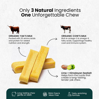 AyurPet Original Himalayan Yak Cheese Chews | 6-Hour Long Lasting Dental Chew | Natural, 100% Veg, Protein-Rich