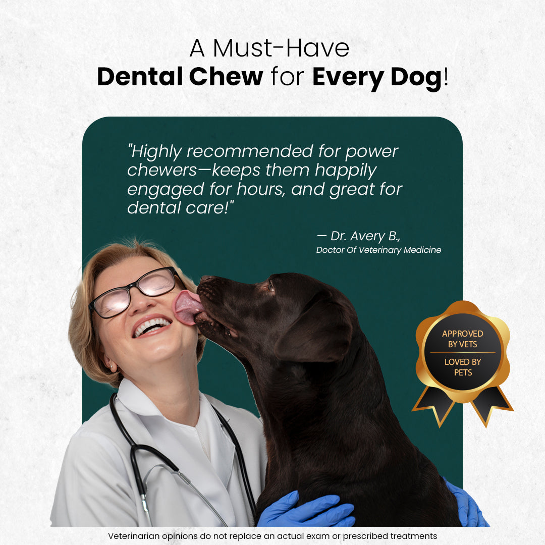 AyurPet Original Himalayan Yak Cheese Chews | 6-Hour Long Lasting Dental Chew | Natural, 100% Veg, Protein-Rich