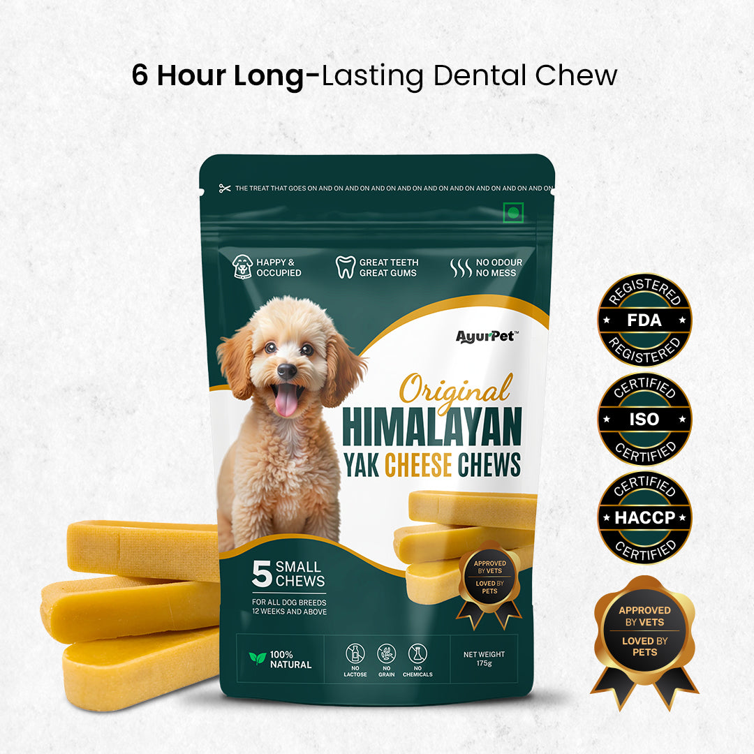AyurPet Original Himalayan Yak Cheese Chews | 6-Hour Long Lasting Dental Chew | Natural, 100% Veg, Protein-Rich