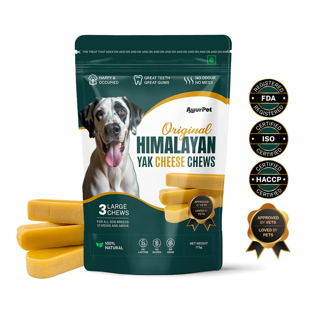 AyurPet Original Himalayan Yak Cheese Chews | 6-Hour Long Lasting Dental Chew | Natural, 100% Veg, Protein-Rich