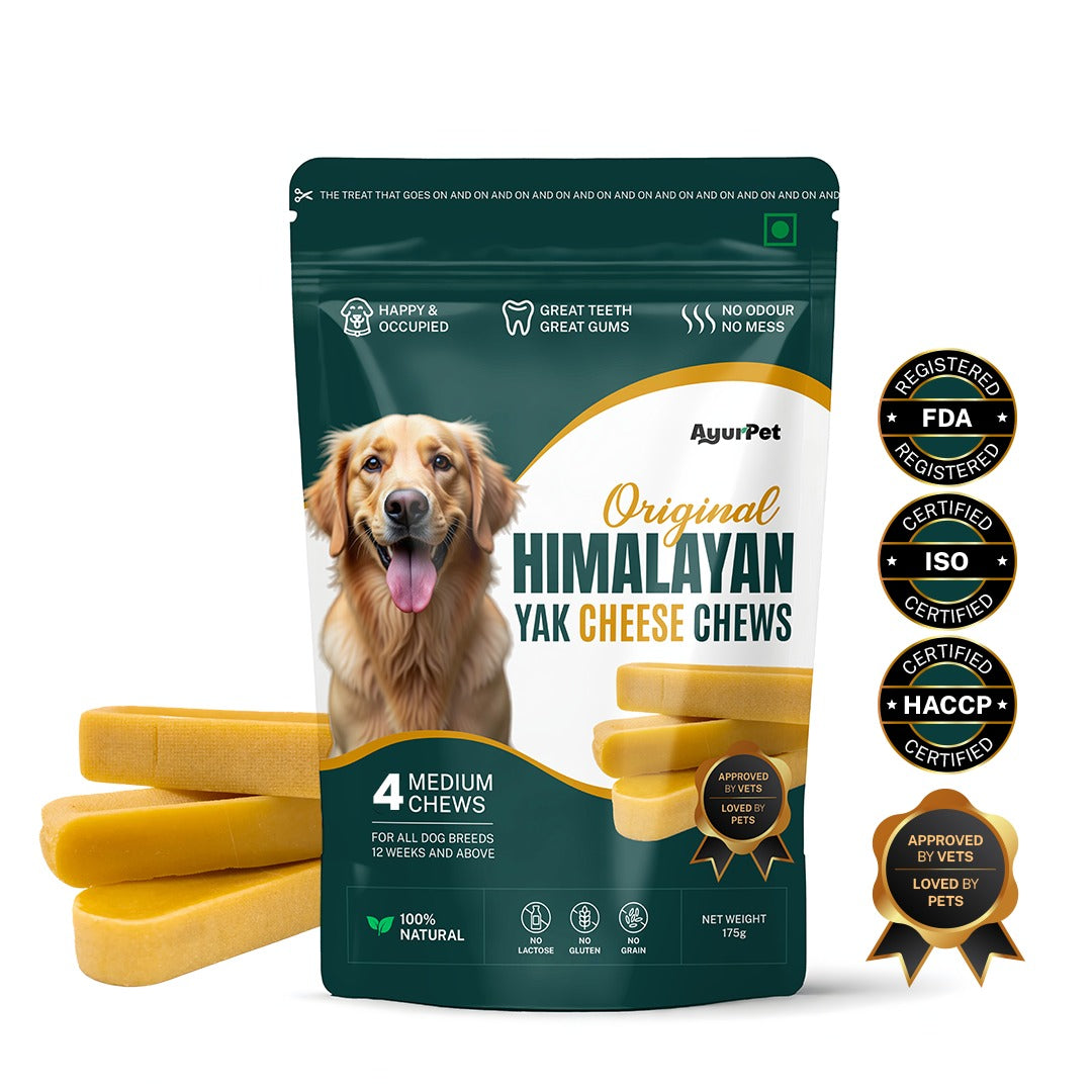 AyurPet Original Himalayan Yak Cheese Chews | 6-Hour Long Lasting Dental Chew | Natural, 100% Veg, Protein-Rich