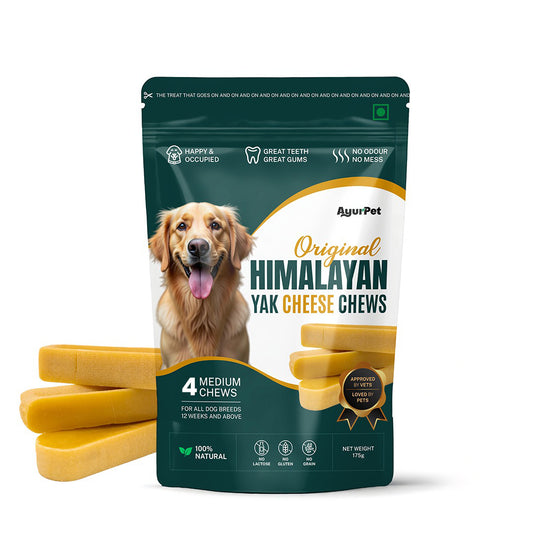 AyurPet Original Himalayan Yak Cheese Chews | 6-Hour Long Lasting Dental Chew | Natural, 100% Veg, Protein-Rich