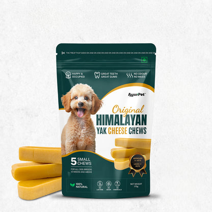 AyurPet Original Himalayan Yak Cheese Chews | 6-Hour Long Lasting Dental Chew | Natural, 100% Veg, Protein-Rich