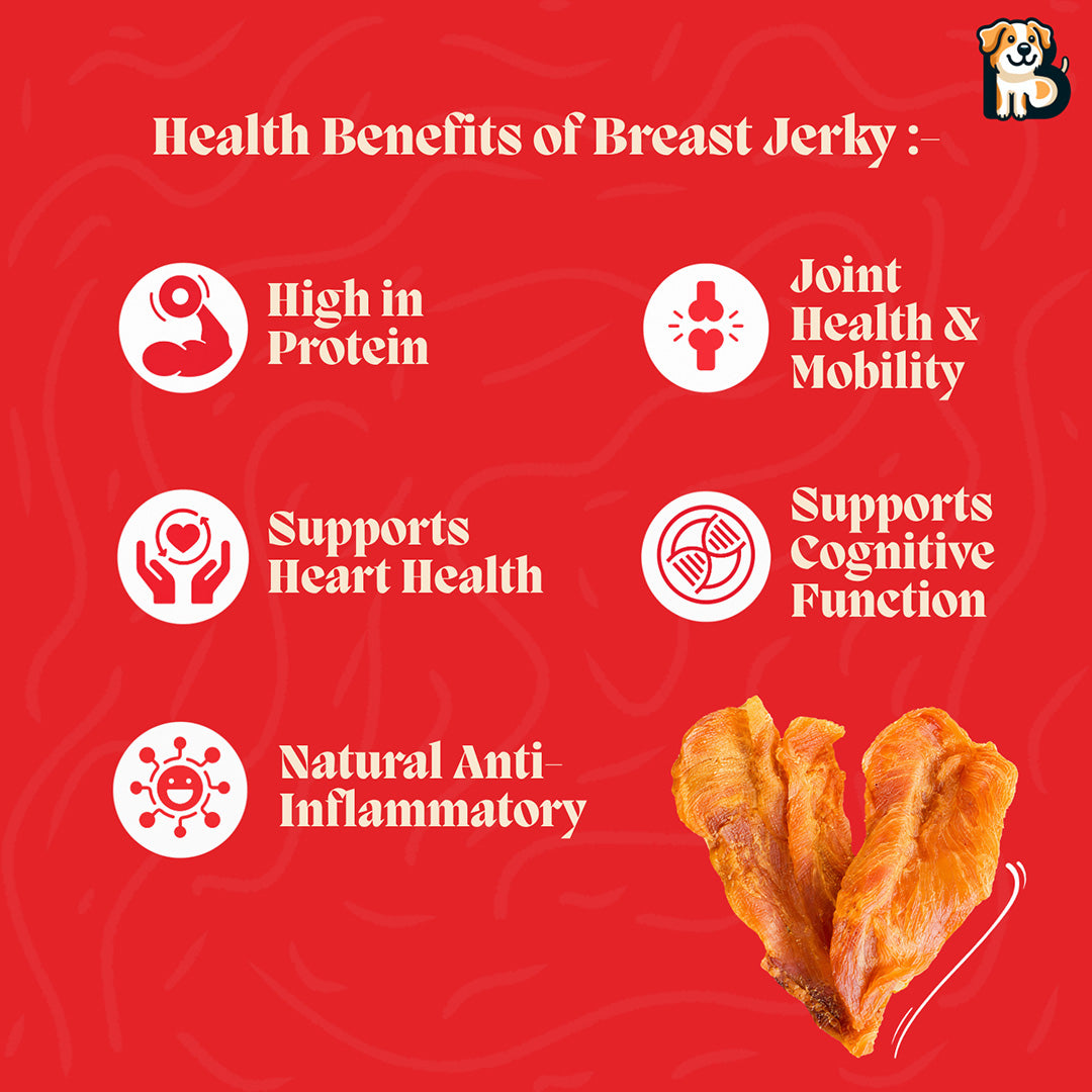 BFAB Dehydrated Chicken Breast Jerky - 100g