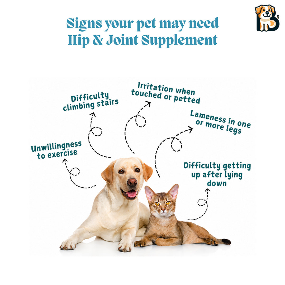 BFAB Hip & Joint Supplement for Pets - 250g