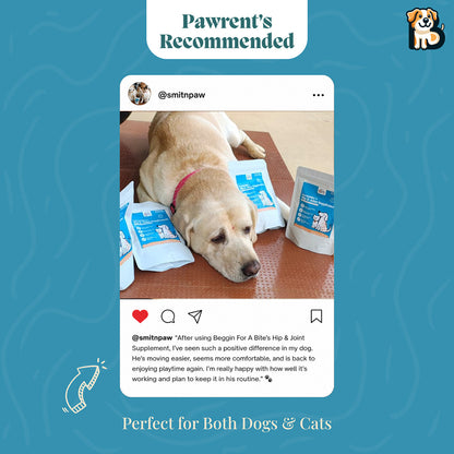 BFAB Hip & Joint Supplement for Pets - 250g