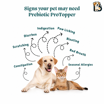 BFAB Prebiotic ProTopper Gut Health Supplement for Pets - 250g